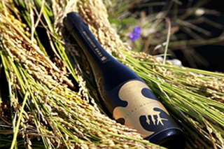 雜賀孫市：寛斎スーパースタジオデザイン( 木箱入り)