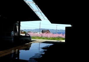 【蔵の移転】桃の町、花盛りの中、工事が本格的になってきました。の画像