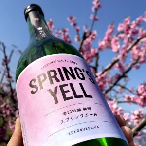 【日本酒】今酒造年、最後の《生》は大辛口「春 辛口吟醸本生 雑賀 スプリングエール」、発売開始です!の画像
